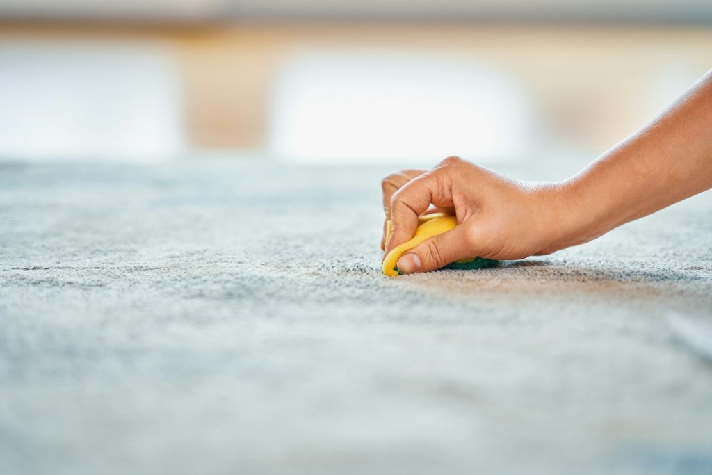 Picture of hand with sponge cleaning carpet